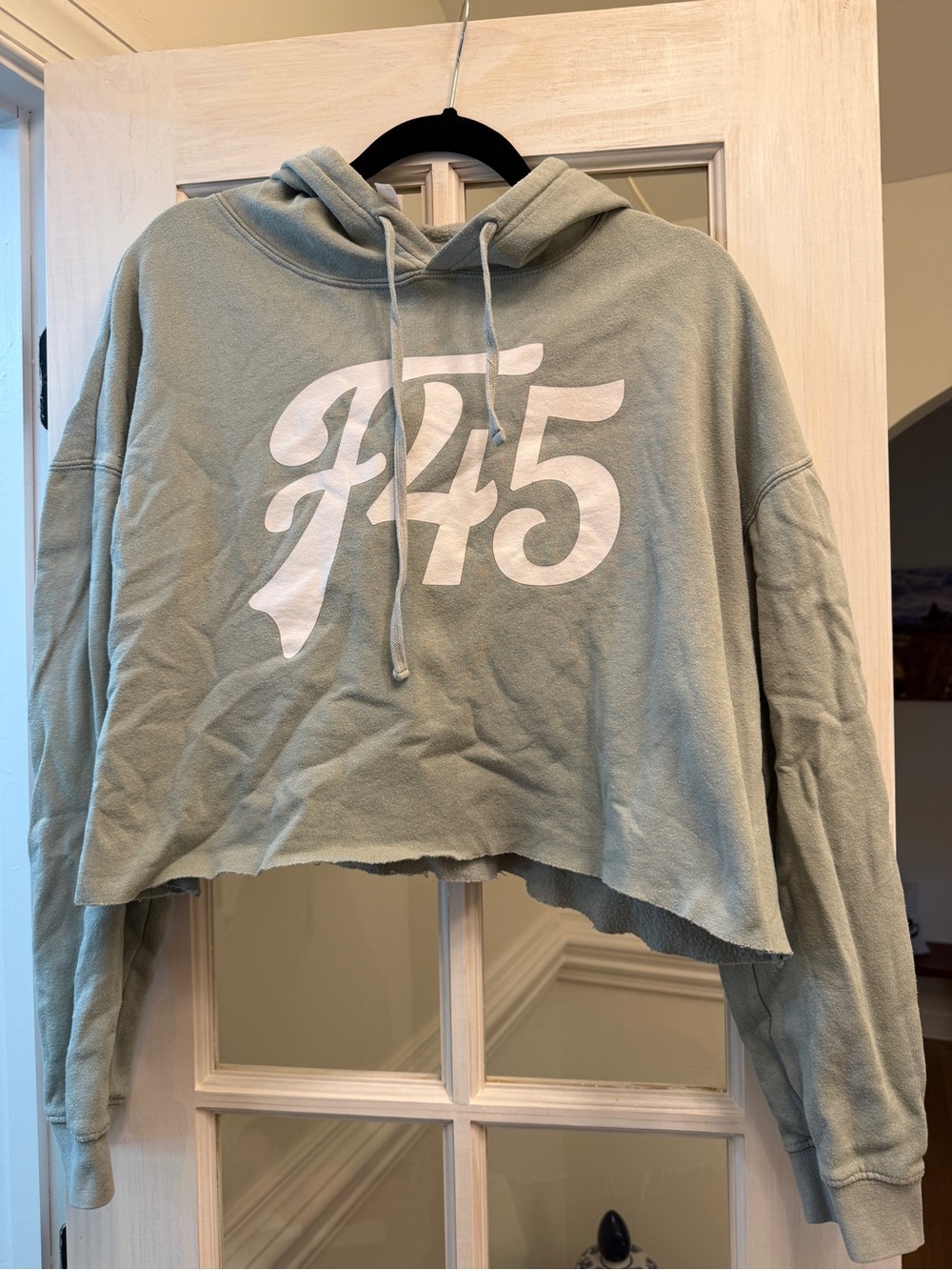 F45 Cropped Hooded Sweater in Sage Green with White Logo